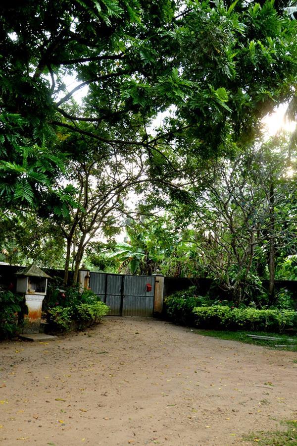 Green Corridor - Ahangama Ngoại thất bức ảnh